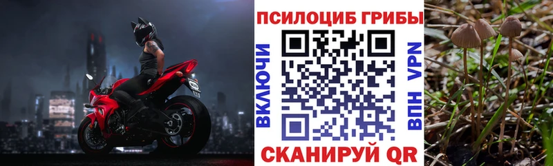 Псилоцибиновые грибы мицелий Озёры